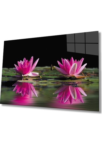 Pembe Lotus Çiçeği Cam Tablo