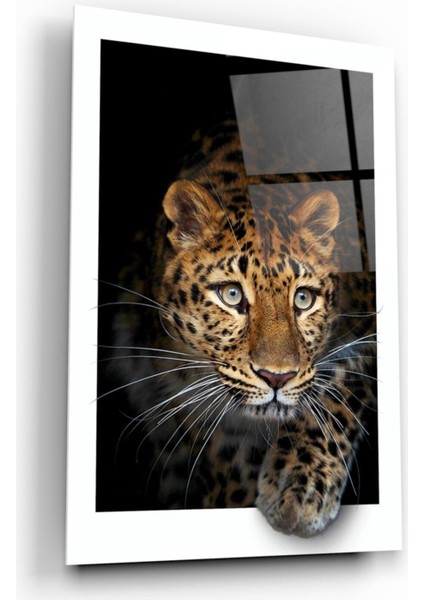 Leopar Cam Tablo