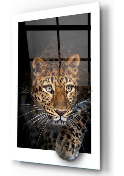 Leopar Cam Tablo