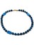 Procyon 01 1