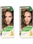 M06 Fındık Kabuğu (Hazelnut) Ikili Set 1