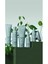 Scalp Solutions Exfoliating Scalp Treatment - Saç Derisi Arındırıcı Ferahlatıcı Şampuan 200ML 4