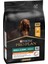 Proplan Small Mini Adult Chicken Tavuklu Yetişkin Köpek Maması 3 kg 2