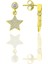 Gümüş Zirkon Taşlı Altın Yaldızlı Yıldız Modeli Küpe SGTL12329GOLD 1