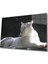 Aslan Cam Tablo 1