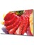 Çilek Cam Tablo Strawberry 1