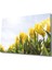 Sarı Lale Cam Tablo Yellow Flowers 1