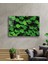 Yeşil Yonca Green Clover 2
