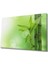Yeşil Bitki Cam Tablo Green Plant 1