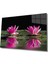 Pembe Lotus Çiçeği Cam Tablo 1