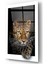 Leopar Cam Tablo 2