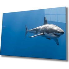 Miraax Köpek Balığı Cam Tablo Shark