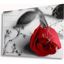 Miraax Kırmızı Gonca