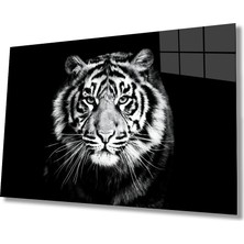 Miraax Kaplan Hayvan  Cam Tablo