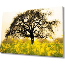 Miraax Sarı Çiçek  Ağaç Manzara Yeşil Cam Tablo