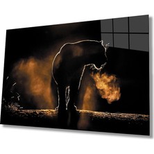 Miraax Aslan Cam Tablo