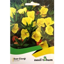Nesil Tohum Ezan Çiçeği Tohumu Pakette 100 Adet Tohum