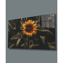 Miraax Ayçiçeği Cam Tablo