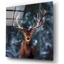 Miraax Geyik Cam Tablo