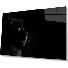 Miraax Kedi Hayvan  Cam Tablo