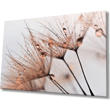 Miraax Kahverengi Karahindiba  Cam Tablo