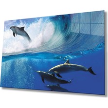 Miraax Yunusbalığı Sualtı Cam Tablo