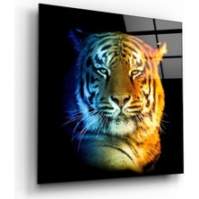 Miraax Kaplan Cam Tablo