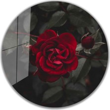 Miraax Kırmızı Gül Yuvarlak Cam Tablo 4mm Dayanıklı Temperli Cam