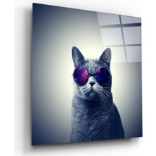 Miraax Kedi Cam Tablo