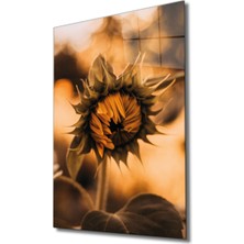 Miraax Ayçiçeği Cam Tablo  ,