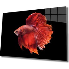 Miraax Turuncu Balık Cam Tablo Orange Fish