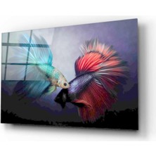 Miraax Japon Balıkları Cam Tablo