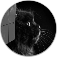 Miraax Kedi Yuvarlak Cam Tablo 4mm Dayanıklı Temperli Cam