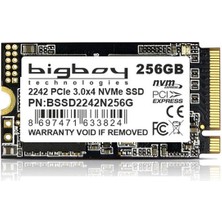 Bigboy BSSD2242N256G 256GB 2500-1300MB M.2 Nvme SSD