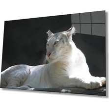 Miraax Aslan Cam Tablo