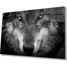 Miraax Siyah Kurt Hayvan Cam Tablo
