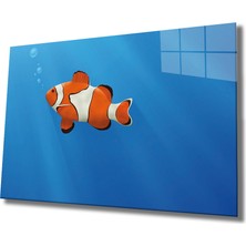 Miraax Turuncu Beyaz Cam Tablo Orange White