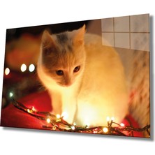 Miraax Beyaz Kedi ve Sarı Işık Cam Tablo Yellow Cat And Lights