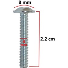 ŞENEL Yapı Market Mobilya Dolap Kapak Kulp Vidası Metrik Vida 4X22 mm 20 Adet