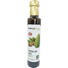 Herbal Palace Çam Kozalağı Özü Şurubu 250 ml