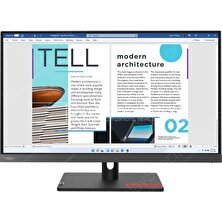 Lenovo S25E-30 24.5inch Monitor-Hdmı