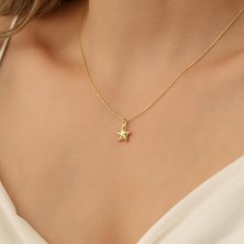 Nox Jewelry 14 Ayar Altın Mikron Kaplama Minimal Deniz Yıldızı Gümüş Kolye - CN00204