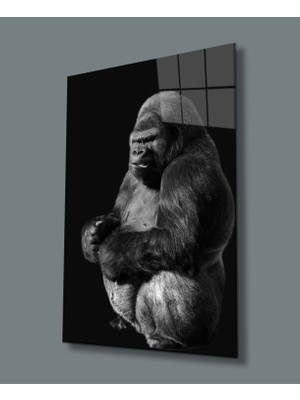 Miraax Goril Hayvan Cam Tablo