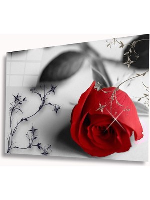 Miraax Kırmızı Gonca