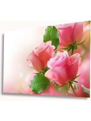 Miraax Pembe Güller Cam Tablo