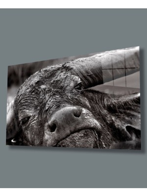 Miraax Manda Hayvan Cam Tablo