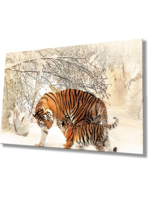 Miraax Kar Manzara Leopar Cam Tablo