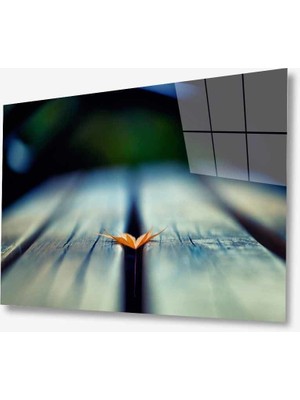 Miraax Doğa Cam Tablo