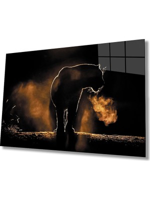 Miraax Aslan Cam Tablo