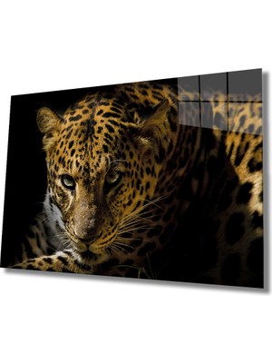 Miraax Leopar Hayvan Cam Tablo